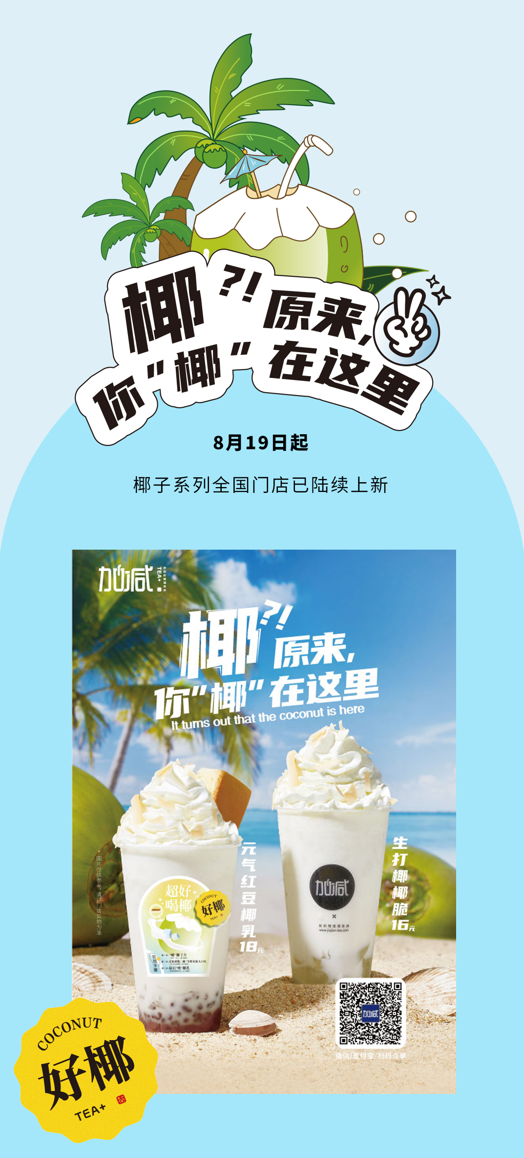 3003新葡的京茶饮
