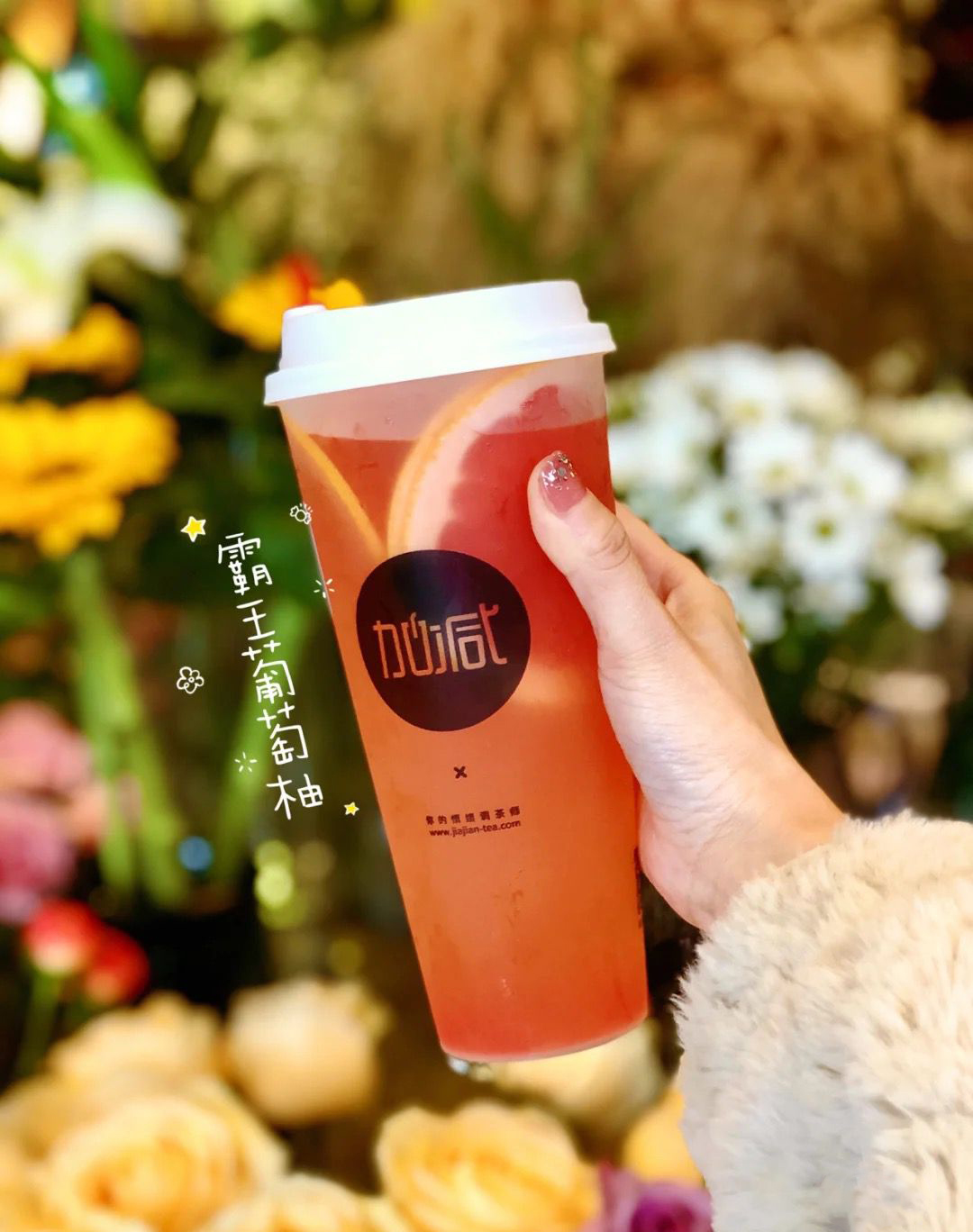 3003新葡的京茶饮